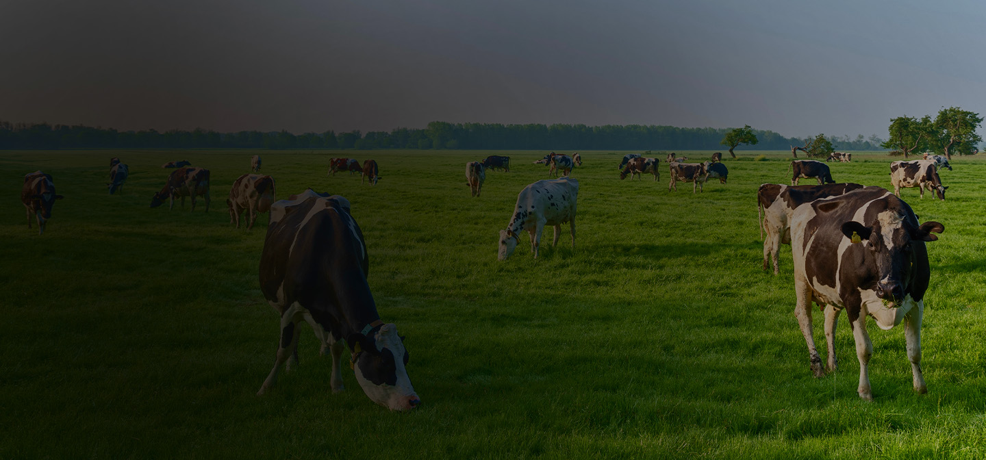 Consumption analysis results in $12,000 energy savings for dairy farms