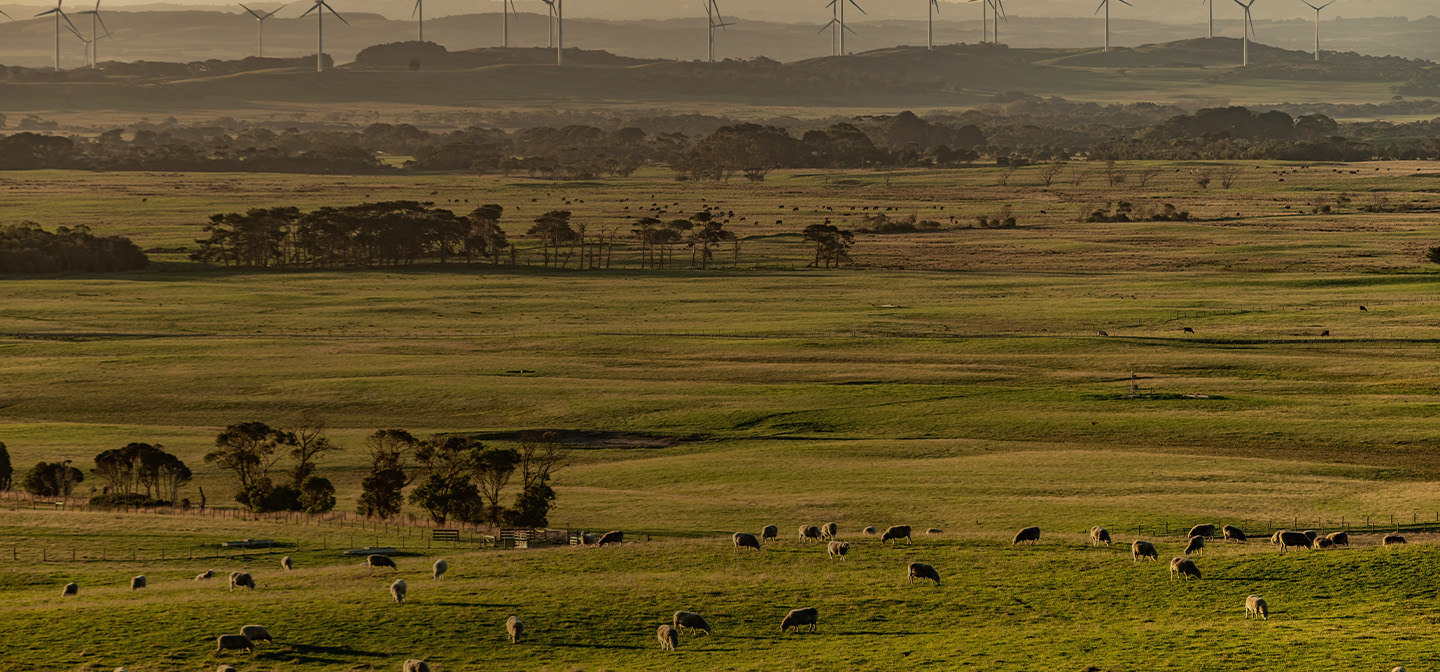Gippsland Food & Fibre members make a combined saving of $132,445