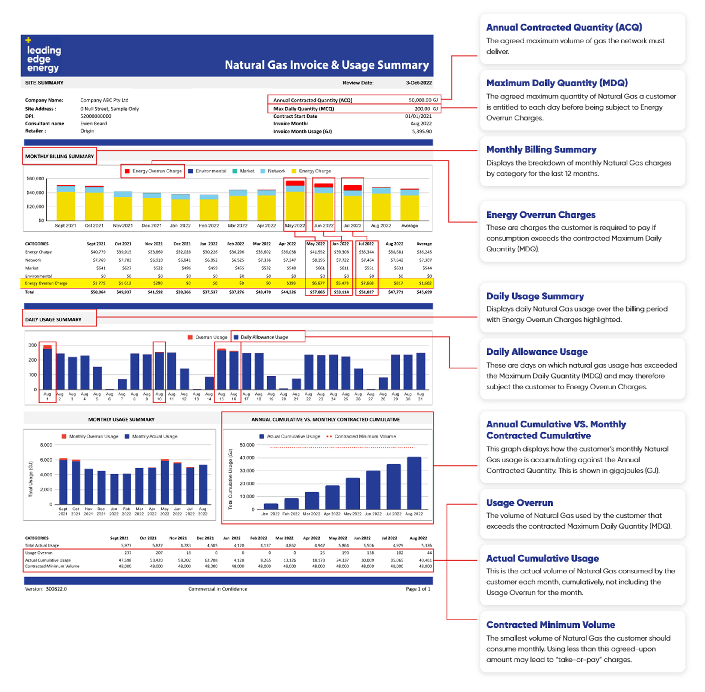 Natural Gas Invoice & Usage Summary report
